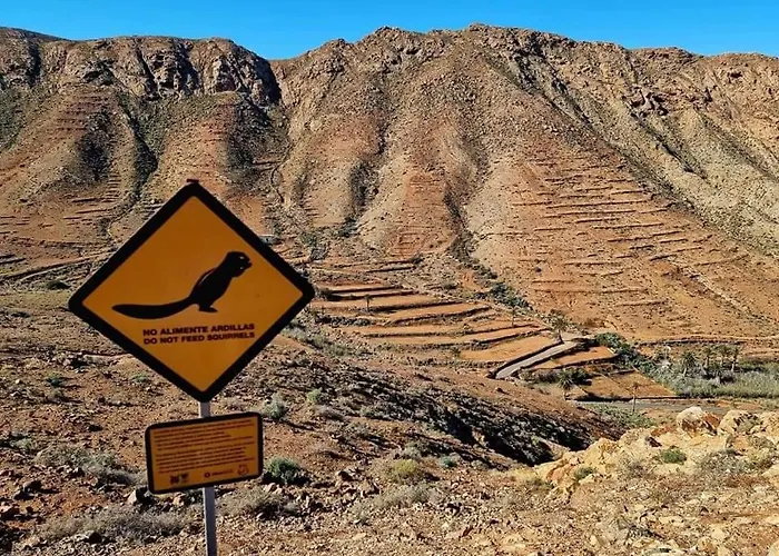 Casa Del Mar Air-conditioned With Swimming Pools - Playa Corralejo